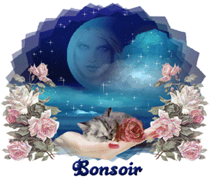 Gif animé bonsoir ciel